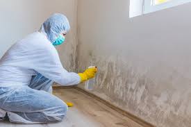 Biohazard Mold Removal in Ocklawaha, FL